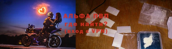 ешки Богданович