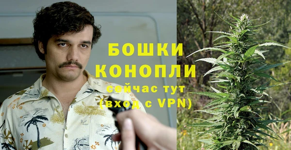 Альфа ПВП Богородицк