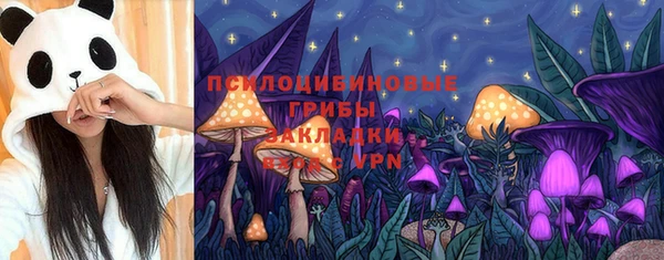 Альфа ПВП Богородицк